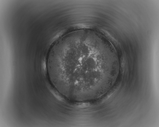 X0000113310398200909141316