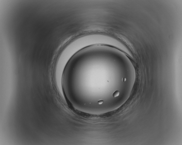 X0000113310399200909141316