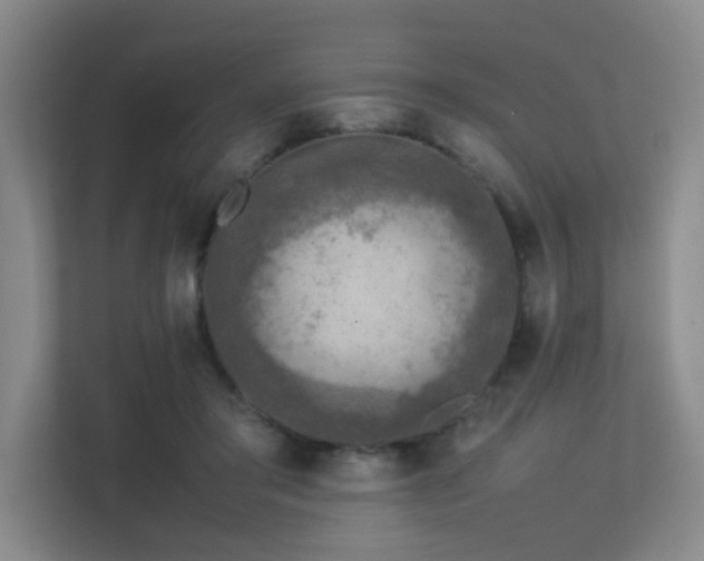 X0000113310405200909141316