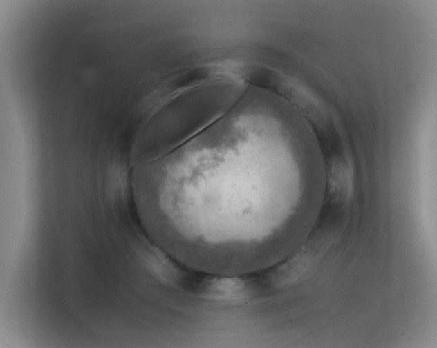 X0000113310409200909141316