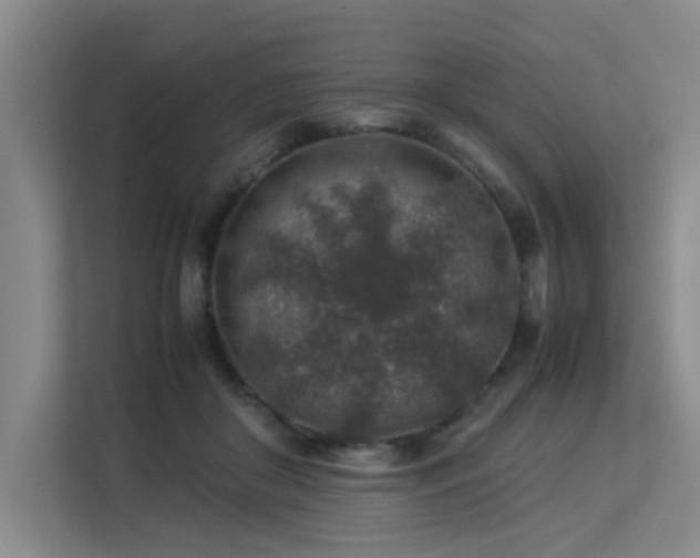 X0000113310410200909141316