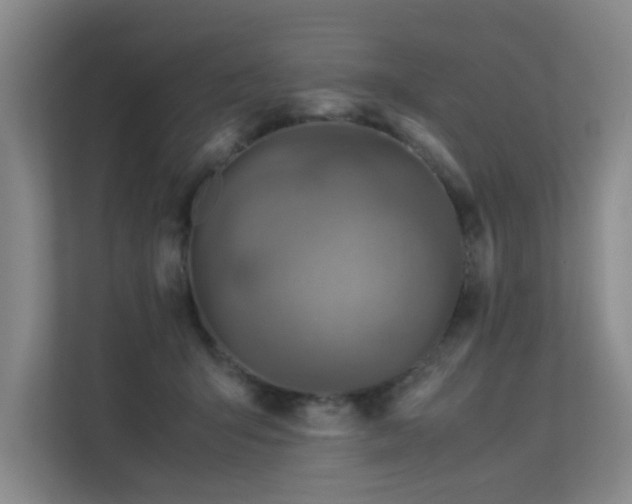 X0000113310415200909141316