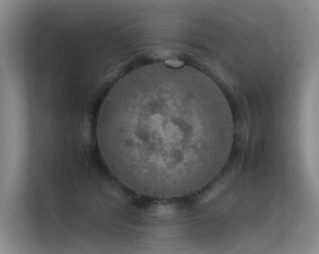 X0000113310416200909141316