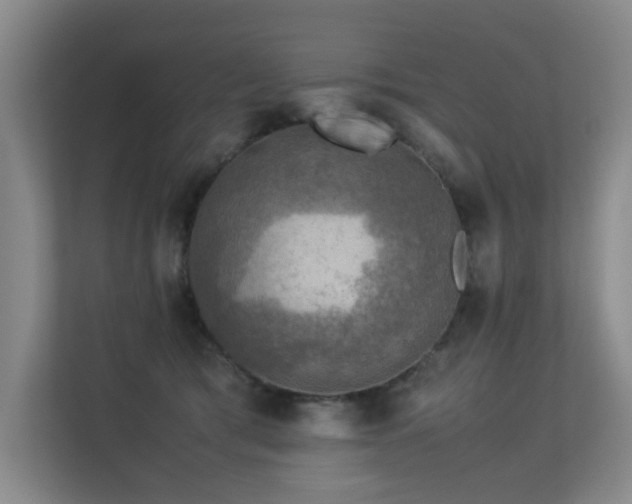 X0000113310417200909141316