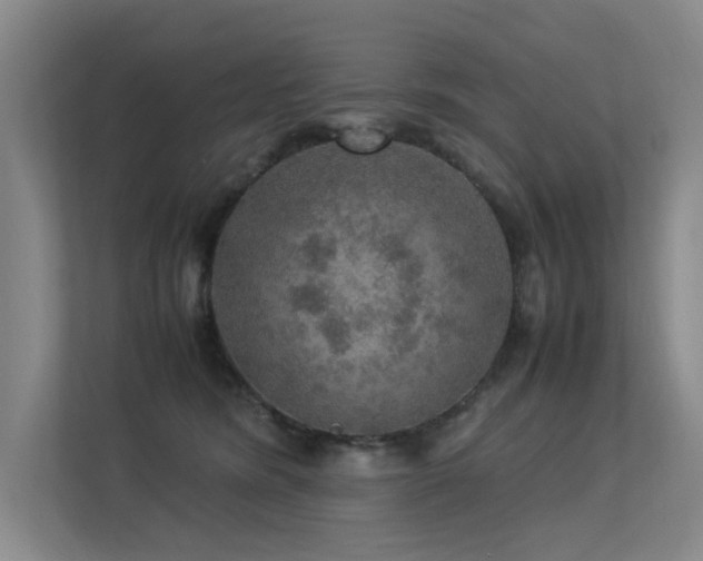 X0000113310420200909141315