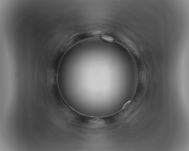 X0000113310421200909141315