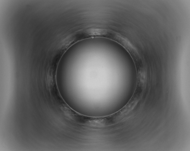 X0000113310422200909141315