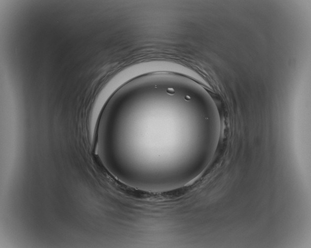 X0000113310423200909141315