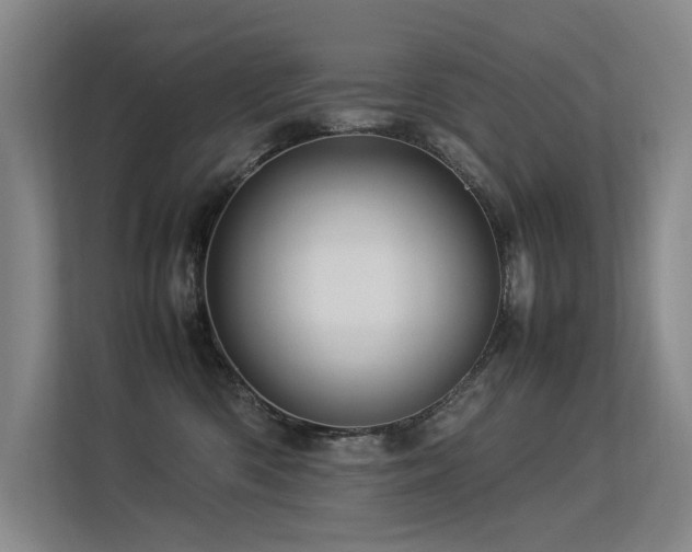 X0000113310426200909141315