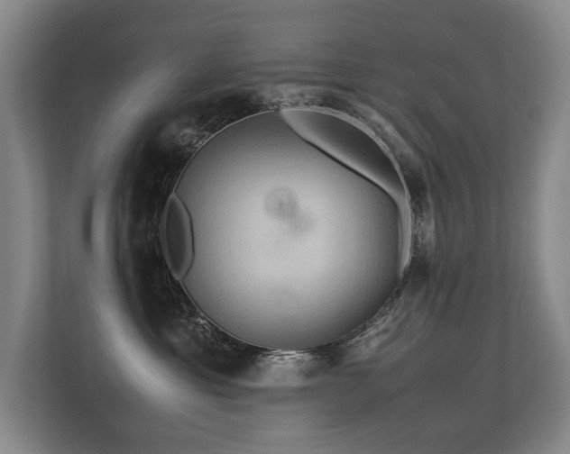 X0000113310429200909141315