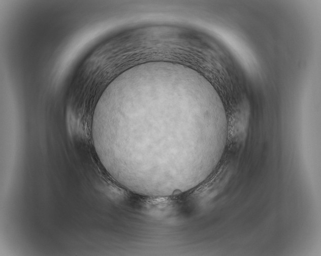 X0000113310431200909141315