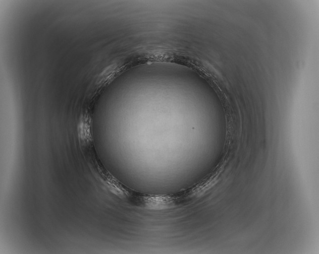 X0000113310432200909141315