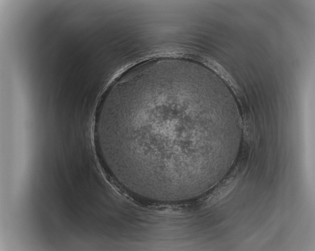 X0000113310434200909141315