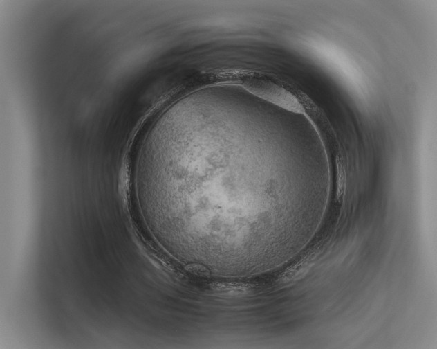 X0000113310435200909141315