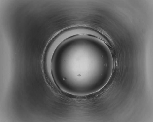 X0000113310436200909141315