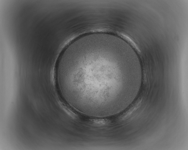 X0000113310439200909141315