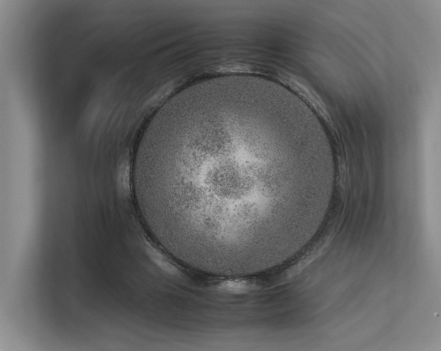 X0000113310441200909141315