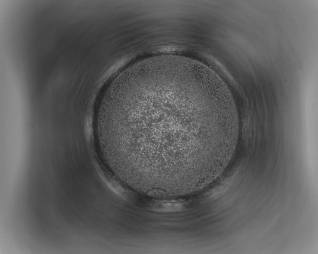 X0000113310443200909141315