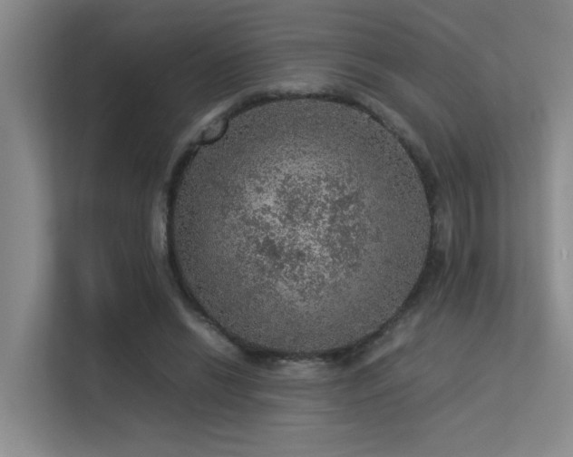 X0000113310446200909141315