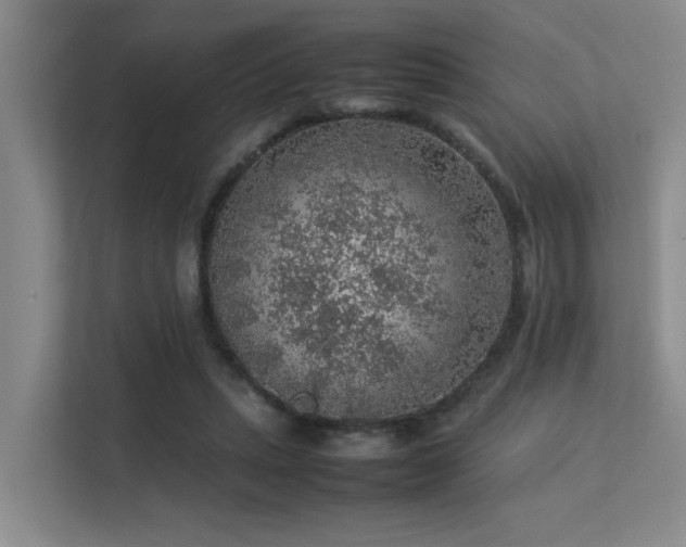 X0000113310447200909141315