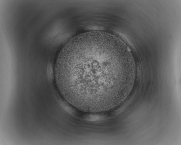 X0000113310453200909141315