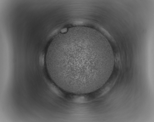 X0000113310454200909141315