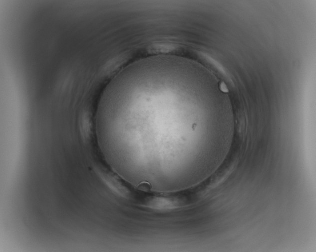 X0000113310455200909141315