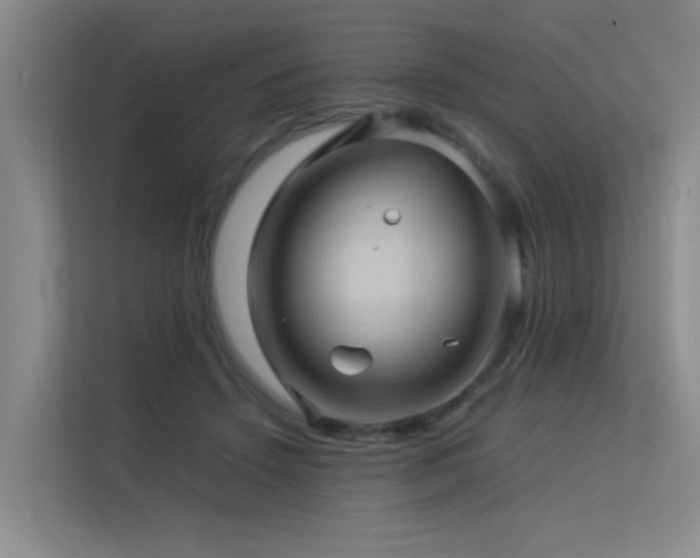 X0000113310456200909141315