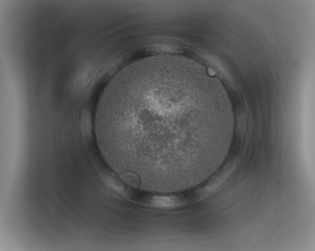 X0000113310457200909141315