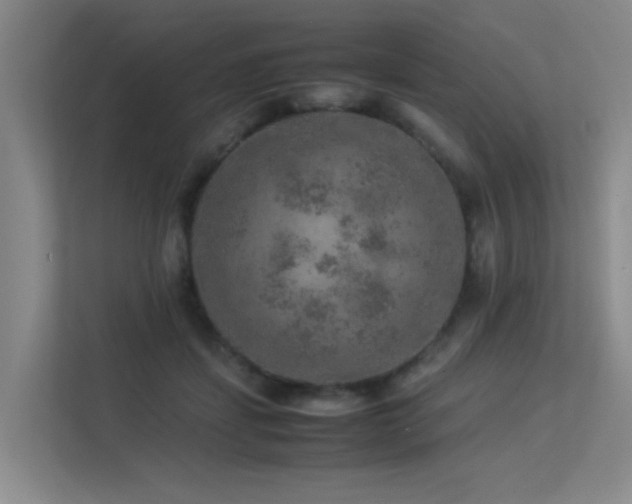 X0000113310459200909141315