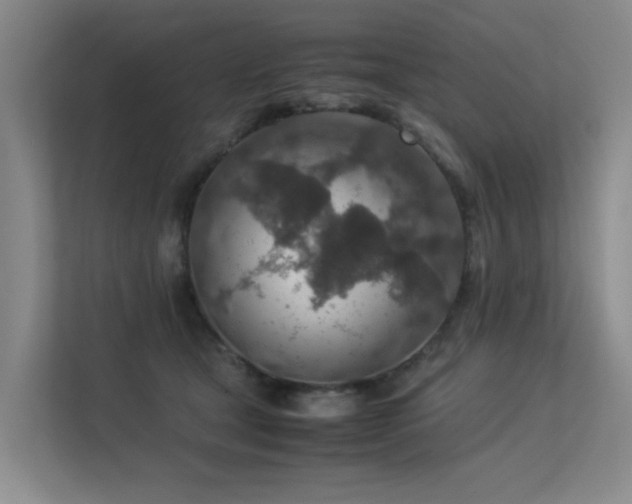 X0000113310465200909141315