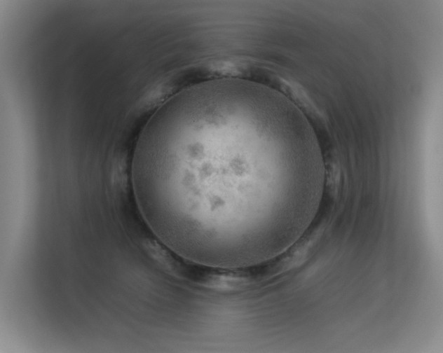 X0000113310466200909141315