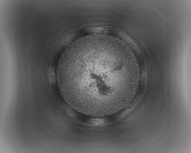 X0000113310469200909141315