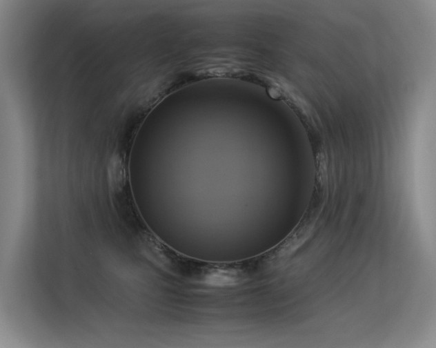 X0000113310471200909141315