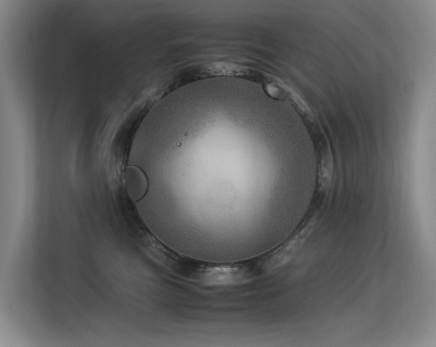 X0000113310473200909141315