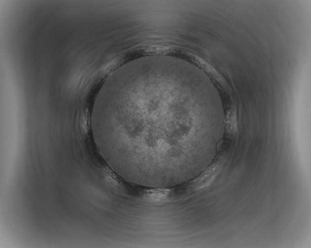 X0000113310474200909141315