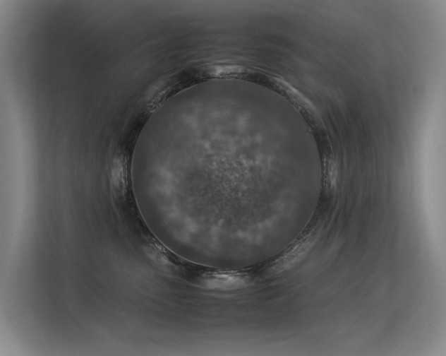 X0000113310475200909141315