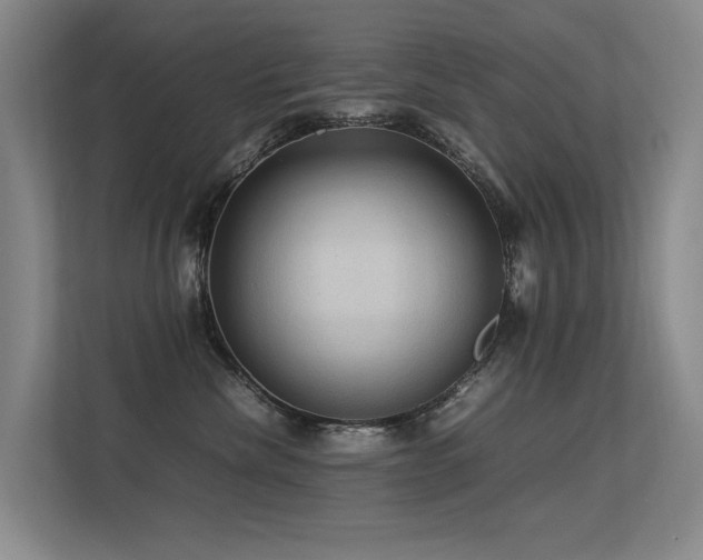 X0000113310476200909141315