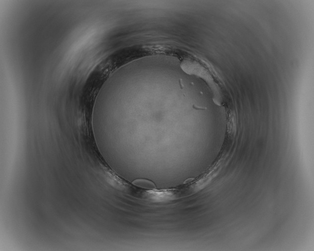 X0000113310477200909141315