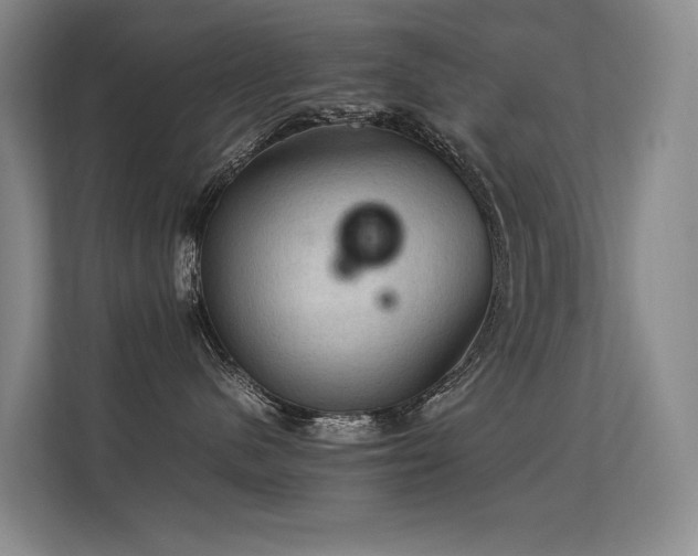 X0000113310480200909141315