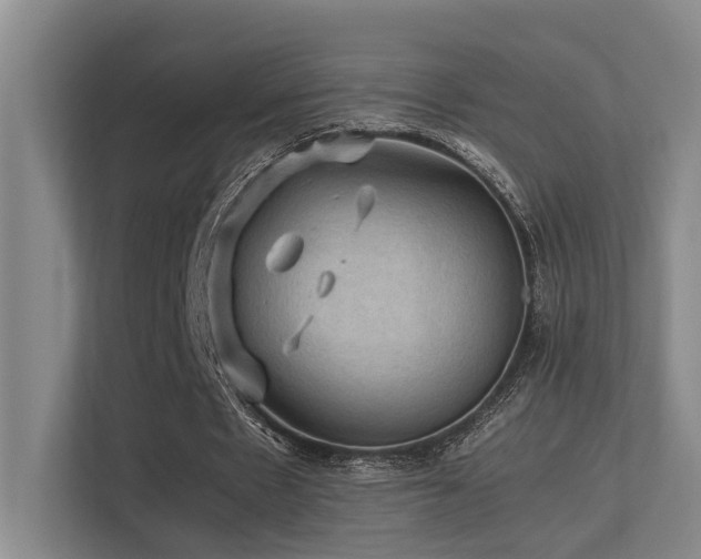 X0000113310481200909141315