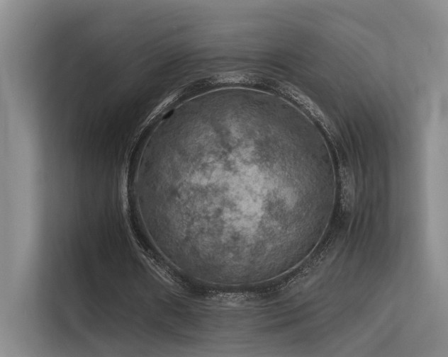 X0000113310482200909141315