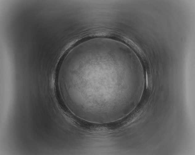 X0000113310483200909141315