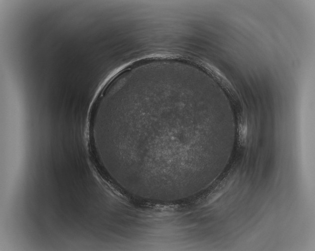 X0000113310484200909141315