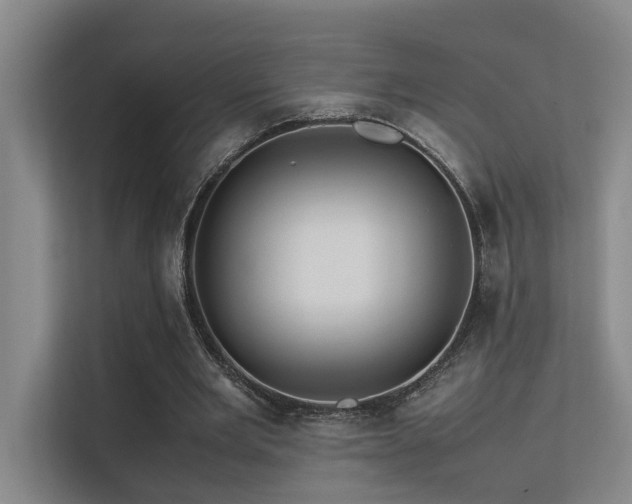 X0000113310485200909141315