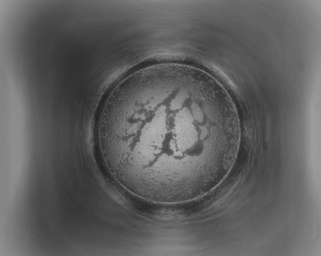 X0000113310487200909141315