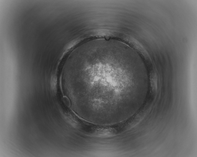 X0000113310488200909141315