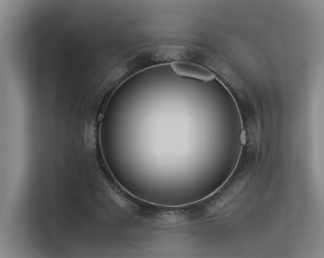 X0000113310489200909141315