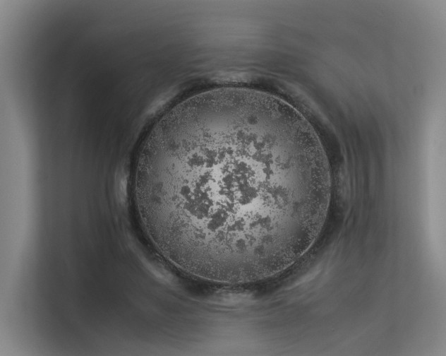 X0000113310491200909141315