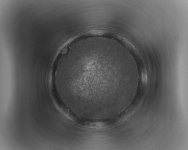 X0000113310492200909141315